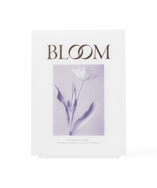 アクリル アートボード L ホワイト（ポスター/アート）｜Francfranc