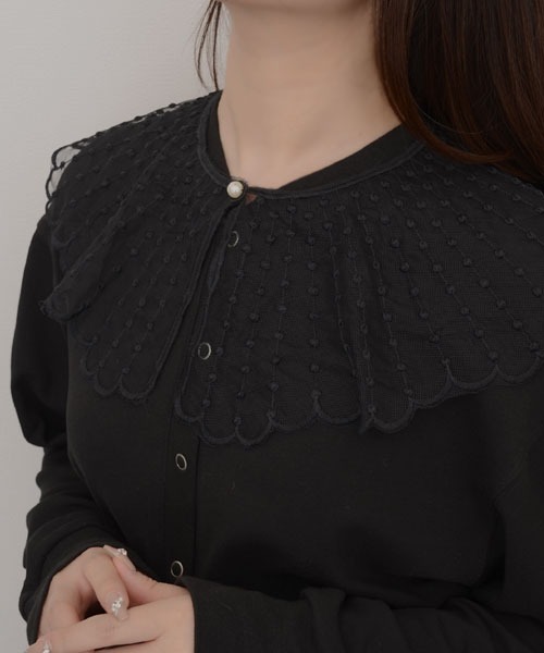 resonance】レース刺繍 ドット シアー つけ襟【マルチウェイ