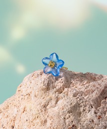 BLOOM(u[)K10 CG[S[h u[NH[c ltB sAX Ўp BLOOM/u[(sAXiЎpj)