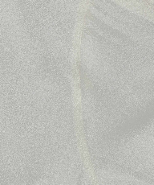 LEPSIM（レプシィム）の「シアーリブチュニックワンピース　452355（チュニック・レディース・アイボリー/ブラック/ブラウン・FREE）」の5枚目の写真