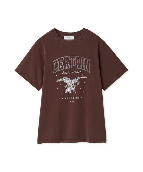 Mila Owen（ミラオーウェン）の「EAGLETシャツ（Tシャツ/カットソー・レディース・チャコールグレー/ライトブルー/ホワイト/ボルドー・0/1）」の16枚目の写真