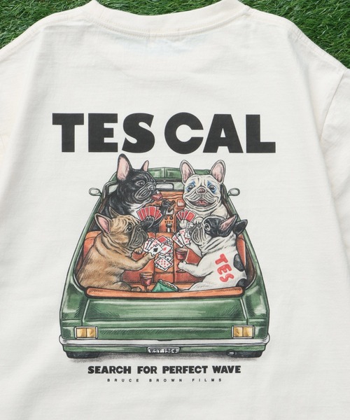 The Endless Summer(エンドレスサマー)の「TES JOKER TEE/ Tシャツ(Tシャツ/カットソー・メンズ・グレー/アイボリー/ピンク/ホワイト・LARGE/MEDIUM/SMALL/XX-LARGE/X-LARGE)」の12枚目の写真