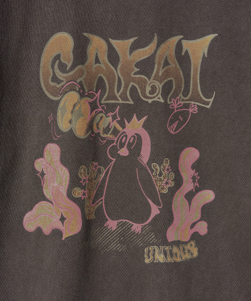GAKKAI UNIONS(ガッカイユニオンズ)の「ヒドゥンキャッチピグメント半袖Tシャツブラウン(Tシャツ/カットソー・レディース・その他・MEDIUM/LARGE)」の7枚目の写真