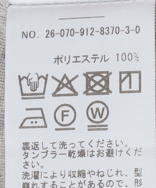 SLOBE IENA(スローブイエナ)の「シアーパウダーテレコラグランプルオーバー(Tシャツ/カットソー・レディース・ライトグレー/ホワイト・FREE)」の9枚目の写真