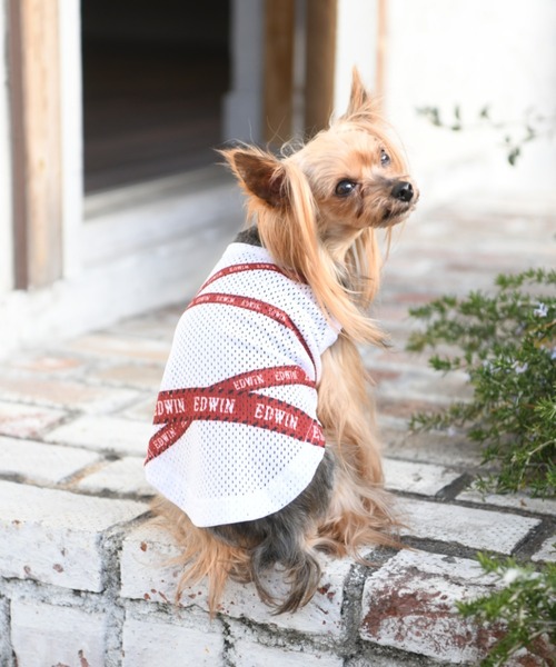 Edwin エドウィン テープロゴタンク 犬服 ドッグウェア ペットウェア Edwin エドウィン のファッション通販 Zozotown