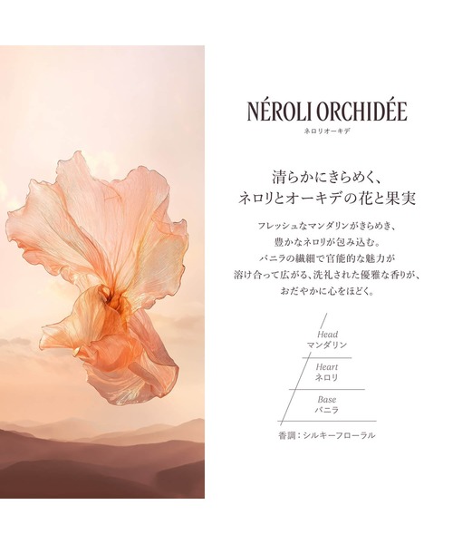 L'OCCITANE(ロクシタン)の「フレグランスディスカバリーキット ミニサイズのオードトワレ(香水)7点セット(香水・フレグランスキット/ギフトセット・レディース・その他・FREE)」の6枚目の写真