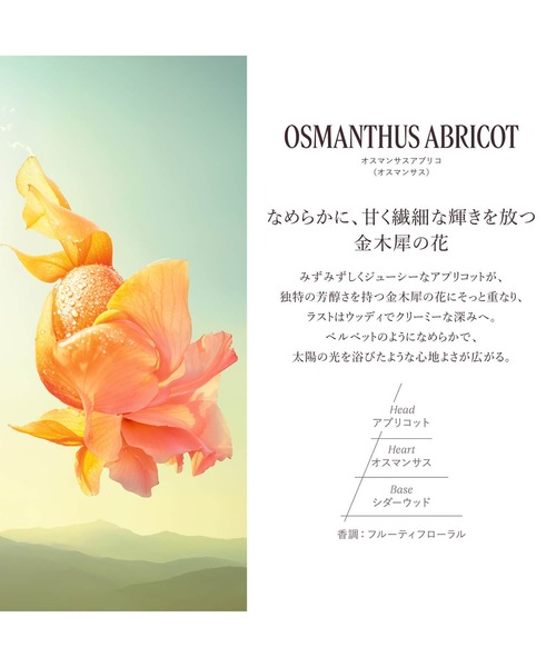 L'OCCITANE(ロクシタン)の「フレグランスディスカバリーキット ミニサイズのオードトワレ(香水)7点セット(香水・フレグランスキット/ギフトセット・レディース・その他・FREE)」の7枚目の写真