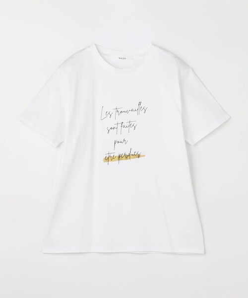 WALDO(ウォルド)の「ラメ入りロゴプリント半袖Tシャツ(Tシャツ/カットソー・レディース・ブラック/ライトグリーン/ホワイト・FREE)」の17枚目の写真