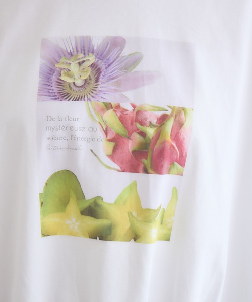 KATHARINE ROSS(キャサリンロス)の「フルーツプリントTシャツ(Tシャツ/カットソー・レディース・ホワイト/ブラウン・FREE)」の19枚目の写真