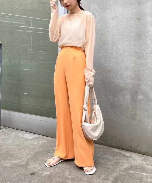 CAPRICIEUX LE'MAGE（カプリシューレマージュ）の「パワーメッシュプルオーバー（Tシャツ/カットソー・レディース・ブラック/ベージュ/ライトグリーン・FREE）」の8枚目の写真