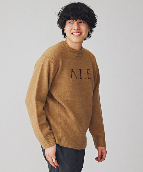 B.C STOCK(ベーセーストック)の「VIE LOGO インターシャ ニット(ニット/セーター・メンズ・ベージュ/ネイビー/ホワイト/グリーン・MEDIUM/LARGE)」の2枚目の写真