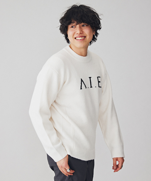 B.C STOCK(ベーセーストック)の「VIE LOGO インターシャ ニット(ニット/セーター・メンズ・ベージュ/ネイビー/ホワイト/グリーン・MEDIUM/LARGE)」の1枚目の写真