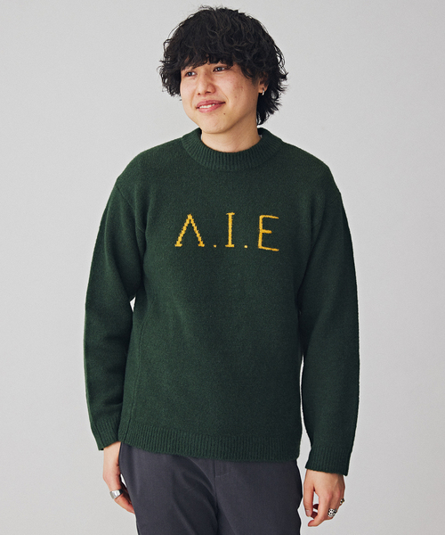 B.C STOCK(ベーセーストック)の「VIE LOGO インターシャ ニット(ニット/セーター・メンズ・ベージュ/ネイビー/ホワイト/グリーン・MEDIUM/LARGE)」の3枚目の写真