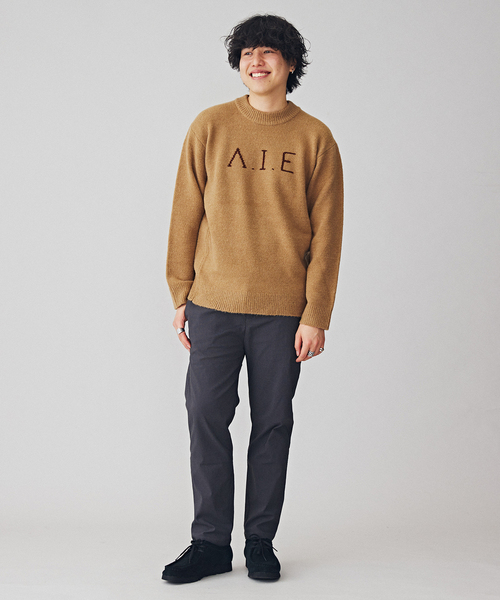 B.C STOCK(ベーセーストック)の「VIE LOGO インターシャ ニット(ニット/セーター・メンズ・ベージュ/ネイビー/ホワイト/グリーン・MEDIUM/LARGE)」の5枚目の写真
