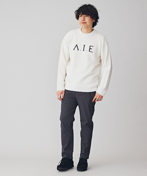 B.C STOCK(ベーセーストック)の「VIE LOGO インターシャ ニット(ニット/セーター・メンズ・ベージュ/ネイビー/ホワイト/グリーン・MEDIUM/LARGE)」の7枚目の写真