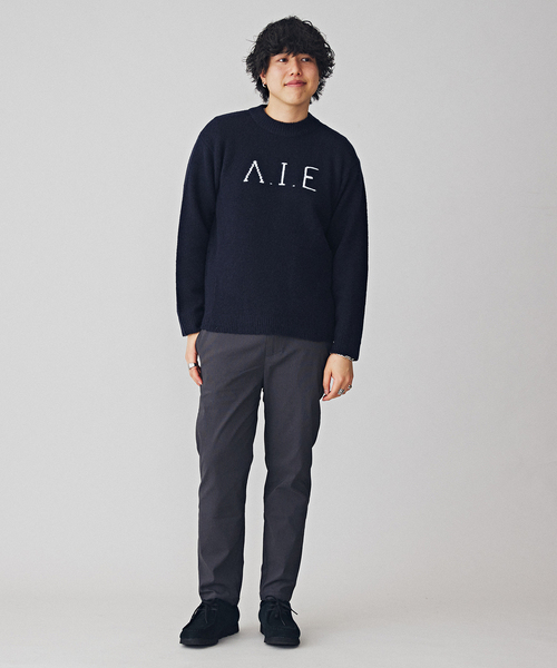 B.C STOCK(ベーセーストック)の「VIE LOGO インターシャ ニット(ニット/セーター・メンズ・ベージュ/ネイビー/ホワイト/グリーン・MEDIUM/LARGE)」の12枚目の写真
