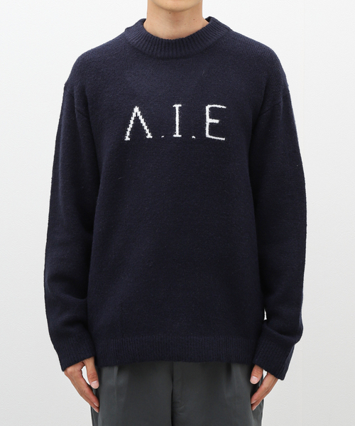B.C STOCK(ベーセーストック)の「VIE LOGO インターシャ ニット(ニット/セーター・メンズ・ベージュ/ネイビー/ホワイト/グリーン・MEDIUM/LARGE)」の16枚目の写真