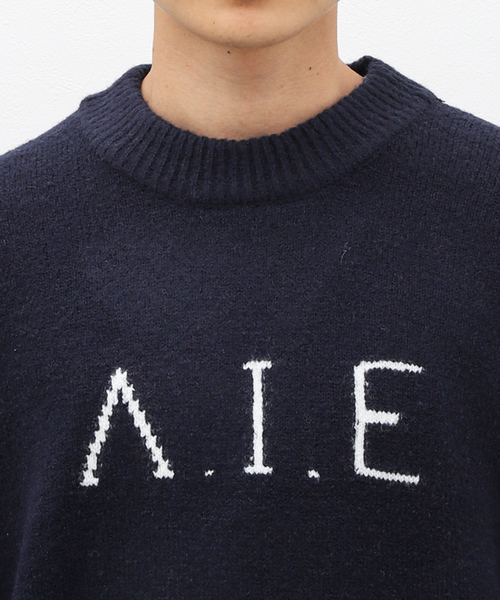 B.C STOCK(ベーセーストック)の「VIE LOGO インターシャ ニット(ニット/セーター・メンズ・ベージュ/ネイビー/ホワイト/グリーン・MEDIUM/LARGE)」の19枚目の写真