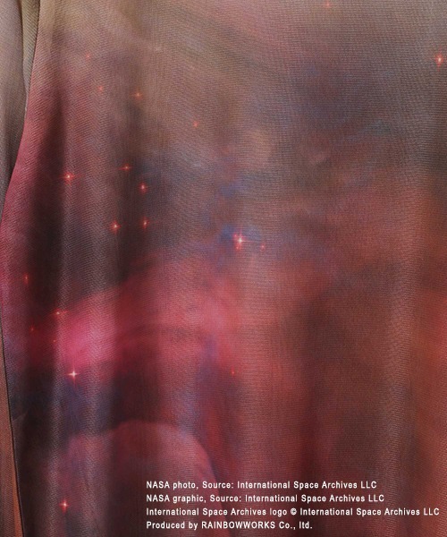 PAGEBOY（ページボーイ）の「＜NASA＞アソートシアーロングスリーブ（Tシャツ/カットソー・レディース・マルチ/オフホワイト・FREE）」の15枚目の写真