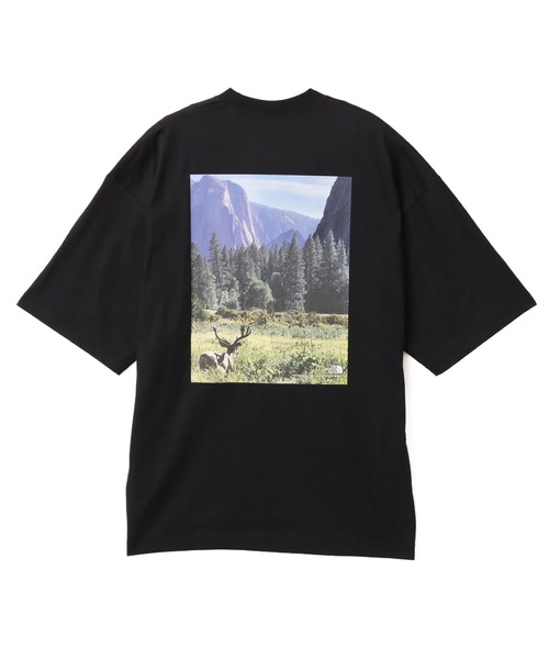 THE NORTH FACE(ザノースフェイス)の「THE NORTH FACE S/S YOSEMITE SCENERY TEE / ザ・ノース・フェイス ショートスリーブ ヨセミテ シーナリー ティー(Tシャツ/カットソー・メンズ・ホワイト/ネイビー/グレー/ブラック・XL/L/M/S)」の1枚目の写真