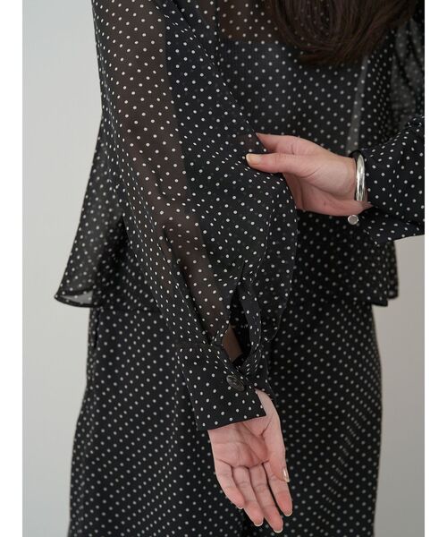 ELENDEEK(エレンディーク)の「ドットシアーシャツ【セットアップ対応】(シャツ/ブラウス・レディース・オフホワイト/ブラック・FREE)」の13枚目の写真