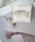 tone�i�g�[���j�́u�yAmiche�z�t�����[�s�A�X(MA)�i�s�A�X�i�����p�j�j�v�b�S�[���h