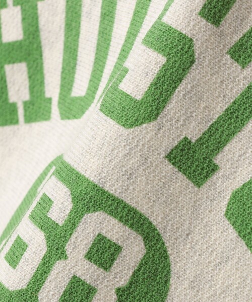 Champion(チャンピオン)の「Champion:〈洗濯機可能〉リバースウィーブ(R) 裏起毛 フーディー スウェット パーカー(パーカー・レディース・ネイビー/ライトグレー・ONE SIZE)」の14枚目の写真