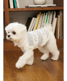 gelato pique(WF[gsP)́yCAT&DOGzWF[gW2{[_[vI[o[(ybgEFA)