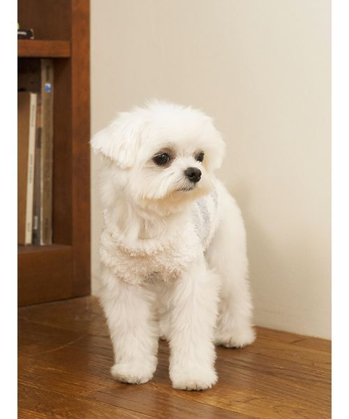 gelato pique（ジェラートピケ）の「【CAT&DOG】ジェラートメランジ2ボーダープルオーバー（ペットウェア・レディース・ブルー/ブラウン/ピンク・M/L/S）」の10枚目の写真