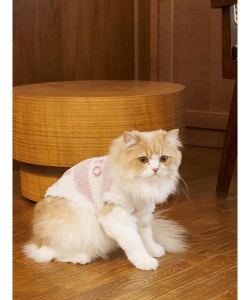 gelato pique（ジェラートピケ）の「【CAT&DOG】ジェラートメランジ2ボーダープルオーバー（ペットウェア・レディース・ブルー/ブラウン/ピンク・M/L/S）」の14枚目の写真