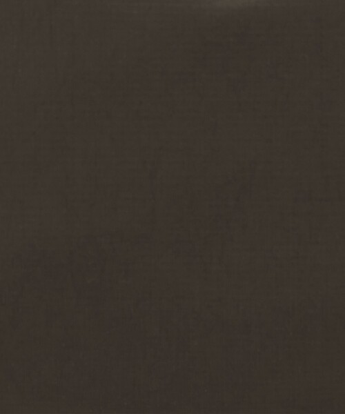 green label relaxing（グリーンレーベルリラクシング）の「【WEB限定】マット リップストップ ショルダーバッグ -撥水-（トートバッグ・メンズ・ダークブラウン/ブラック・FREE）」の14枚目の写真