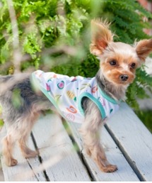 犬と生活（イヌトセイカツ）の「犬と生活/いぬとせいかつ