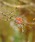 HIGHTIDEinC^Chj́uFARM HUT t@[nbg GisY sobWiobWjvb̑8