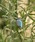 HIGHTIDEinC^Chj́uFARM HUT t@[nbg GisY sobWiobWjvb̑12