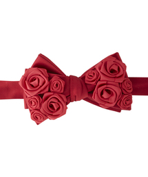 Bowtie�i�{�E�^�C�j�́u���[�Y���^�C�@RED�i���l�N�^�C�j�v