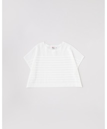LYNE KINT N/S SHEER