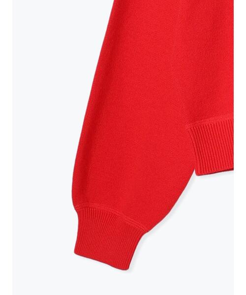 Lugnoncure（ルノンキュール）の「スウェットライククルーネックニット（ニット/セーター・レディース・レッド/グレー/チャコールグレー/ブルー/オフホワイト・F）」の14枚目の写真