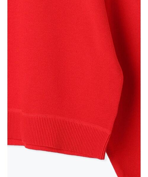 Lugnoncure（ルノンキュール）の「スウェットライククルーネックニット（ニット/セーター・レディース・レッド/グレー/チャコールグレー/ブルー/オフホワイト・F）」の15枚目の写真