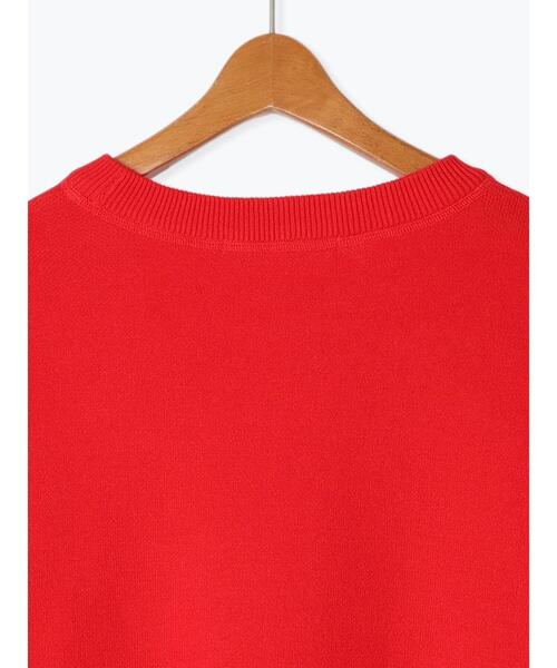 Lugnoncure（ルノンキュール）の「スウェットライククルーネックニット（ニット/セーター・レディース・レッド/グレー/チャコールグレー/ブルー/オフホワイト・F）」の16枚目の写真