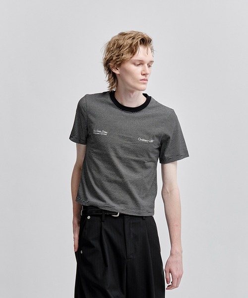 SHINYAKOZUKA(シンヤコヅカ)の「別注 ORDINARY COMPACT TEE BORDER(Tシャツ/カットソー・メンズ・ブラック/ホワイト・M/S)」の2枚目の写真