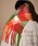 SUPERTHANKSiX[p[TNXj́uy`FbN/n/zFzx[VbNrbO O}t[Big mufflei}t[jvbIWn̑