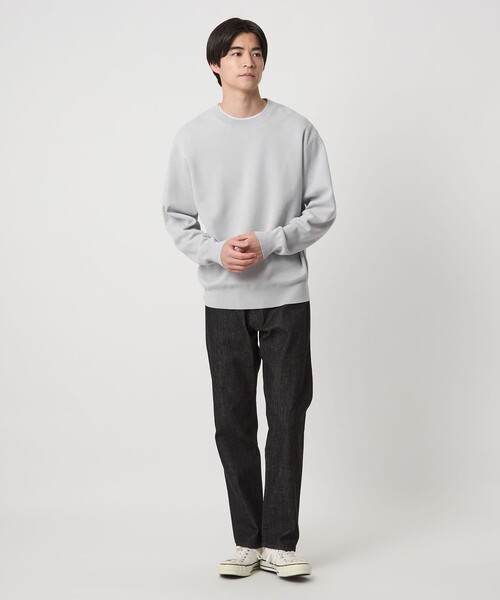 ポリエステル ウール ミラノリブ クルーネック ニット（ニット