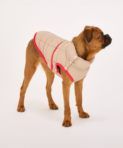 MANDARINE BROTHERS（マンダリンブラザーズ）の「スーパーライトパフベスト/小型犬/M/MD/L（ペットウェア・レディース・グレー/ブラック/ベージュ系その他・M/MD/L）」の3枚目の写真