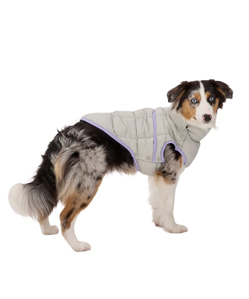 MANDARINE BROTHERS（マンダリンブラザーズ）の「スーパーライトパフベスト/小型犬/M/MD/L（ペットウェア・レディース・グレー/ブラック/ベージュ系その他・M/MD/L）」の6枚目の写真