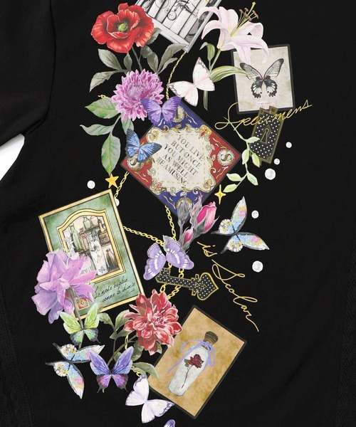 セール】ScoLar(スカラー) 額縁×花×蝶柄 ニットソー×裏毛切替プル