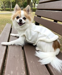 yield（イールド）の「【yield select】ペット服 ペットウェア リードフック付きボアジャケット YW7DJK（ペットウェア）」