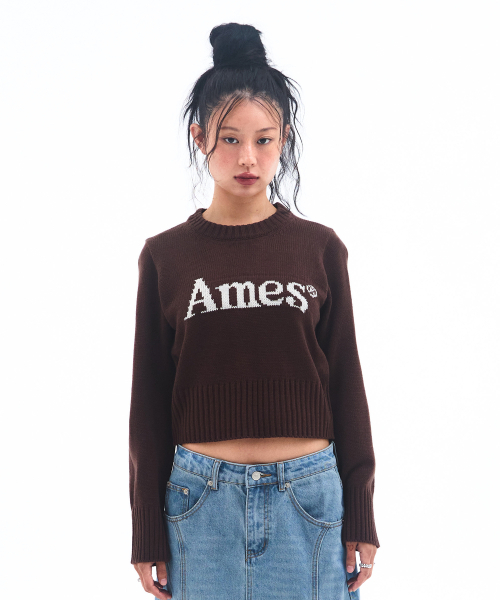 AMESWORLDWIDE（アメスワールドワイド）の「BASIC PULLOVER KNIT BROWN（ニット/セーター・レディース・その他・MEDIUM/SMALL/LARGE）」の2枚目の写真