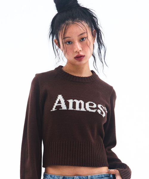 AMESWORLDWIDE（アメスワールドワイド）の「BASIC PULLOVER KNIT BROWN（ニット/セーター・レディース・その他・MEDIUM/SMALL/LARGE）」の8枚目の写真