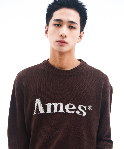 AMESWORLDWIDE（アメスワールドワイド）の「BASIC PULLOVER KNIT BROWN（ニット/セーター・レディース・その他・MEDIUM/SMALL/LARGE）」の9枚目の写真