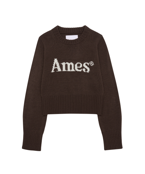 AMESWORLDWIDE（アメスワールドワイド）の「BASIC PULLOVER KNIT BROWN（ニット/セーター・レディース・その他・MEDIUM/SMALL/LARGE）」の11枚目の写真